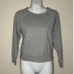 Everlane  Gray Slim Classic Crewneck Pullover Sweatshirt Unisex Size XXS EUC!! Photo 1