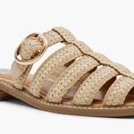 NEW DV BY DOLCE VITA Fyona Mule Sandal (Women) In Color Raffia Tan Size 8 Photo 0