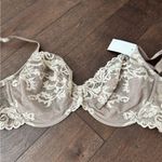 Wacoal Lace Detail Bra Photo 0