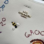Coach Small Town Bucket Bag With Diary Embroidery Photo 3