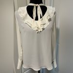 Blvd  Ruffled Tie Neck Blouse Photo 1