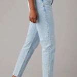 American Eagle | Strigid Mom Jean Photo 2
