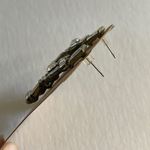 NWT Silver Crystal Chandelier Earrings Photo 2