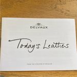 NWOT Delvaux Kiss NY Polo Envelope Clutch LIMITED EDITION Red Photo 4