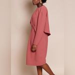 Rachel Comey PALOMA DRESS RUST 6 Photo 13