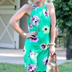 J.Crew NWT  Size 4 100% Silk Tropical Green High Neck Knne length dress Photo 0