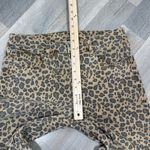 American Eagle  Leopard Print High Waist Stovepipe Jeans Tan Size 6 Long Photo 13