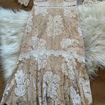 Saylor  Lace Maggy Dress In Nude Photo 4
