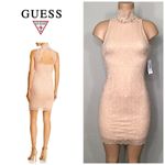Guess New  blush stretch lace mini dress. NWT Photo 11