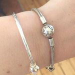 Pandora Bracket And Charms  Photo 0