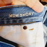 American Eagle  Relaxed Fit Mom Shorts Size 16 Photo 4