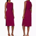 Max Mara Norcia Sleeveless Stretch Virgin Wool Dress US Size 14 Fushia Pink NWOT Photo 1
