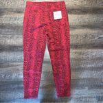 Celebrity Pink Red Tango Snakeskin Print Skinny Jeans Size 11/30 New with Tags Photo 8