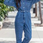 Kittenish Denim Jumpsuit  Photo 1