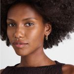 Madewell NWT Chunky Link Chain Necklace and Carabiner Link Hoop Earrings Photo 2