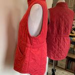 Bit & Bridle Large Pink Vest Photo 1