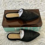 Diba True  High Up Mule ponyhair in black size 8.5 Photo 1