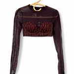 Ivy Park New Beyoncé x Adidas XS Monogram Crop Top NWT Sheer Activewear Bustier Photo 1