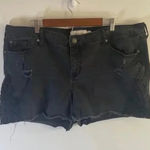 Torrid Women's Black Lace Trim Shorts Size 24 EUC! Photo 0