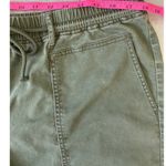 J. Jill Cargo Shorts Olive Green Drawstring Waist Pockets Hiking Women's Size L Size L Photo 6