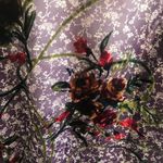 Band of Gypsies  Floral Velvet Open Front Robe Cardigan Women's Size XS/S Photo 4