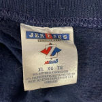 Jerzees  Blend Blue Winter Scene Cardinal Bird Crewneck Sweatshirt Women’s XL Photo 4