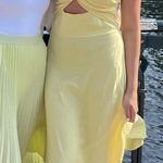 Petal and Pup  Dress Midi Photo 1