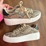Qupid Snakeskin Platform Sneakers Photo 1