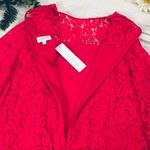 Devlin  Ruby Pink Bell Sleeve Lace Dress Photo 4