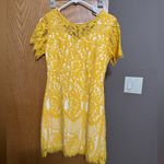 Dress Barn 2 dresses  and another yellow and green size medium and size 8 Photo 3