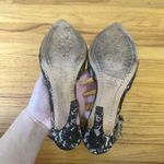 Alice + Olivia Delia Lace Pumps Sz 6 Photo 5