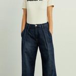frame denim đź’•GOOP x FRAMEđź’• Deep Pleat Crop Palazzo Jeans ~ Culotte Galileo 26 Photo 1