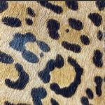 Kendall + Kylie  Boots Photo 4