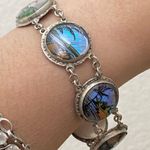 Vintage Blue Morpho Butterfly Wing Reverse Painted Tropical Scene Brazil 20.6g Photo 2