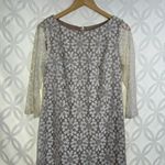 Eliza J ELIZA‎ J Ivory Floral Lace Overlay Shift Dress Size 8 Photo 4