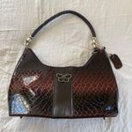 Snake skin Purse Photo 0