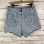 American Eagle  Highest Rise 90s Boyfriend Denim Shorts Size 14 Photo 0