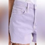 Anthropologie NWT FRAME Le Brigette Raw Hem Denim Cutoff Shorts M/L ($198) Photo 3