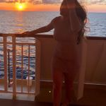 Windsor  Textured Tan Dress Photo 4