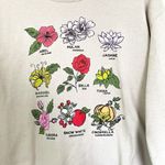 Disney  Princess Floral Chart Graphic Print Tan Soft Crew Neck Knit Sweater Small Photo 4