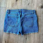 Wild Fable  denim and crochet jean shorts Photo 1
