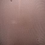 Free People  Wrap Midi Skirt Photo 5