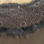 Gaby & Eden Black Off Photo 2