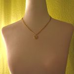 18k Gold Plated Horseshoe Necklace Photo 5