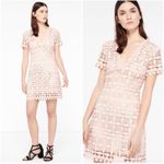 Sandro Paris Manureva Pink Lace Dress 6 Photo 3