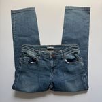 Eileen Fisher  Organic Blue Straight Jeans Size 2 Photo 1