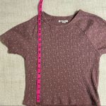 American Eagle  Cropped Short Sleeve Top Photo 13