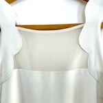 Club Monaco  Nimah White / Sheer Size 2 Sleeveless Mini Dress Photo 7