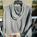 NFL Detroit Lions cropped hoodie NWT Photo 2