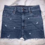 Abercrombie & Fitch Floral Denim Cut-Off Shorts Photo 0
